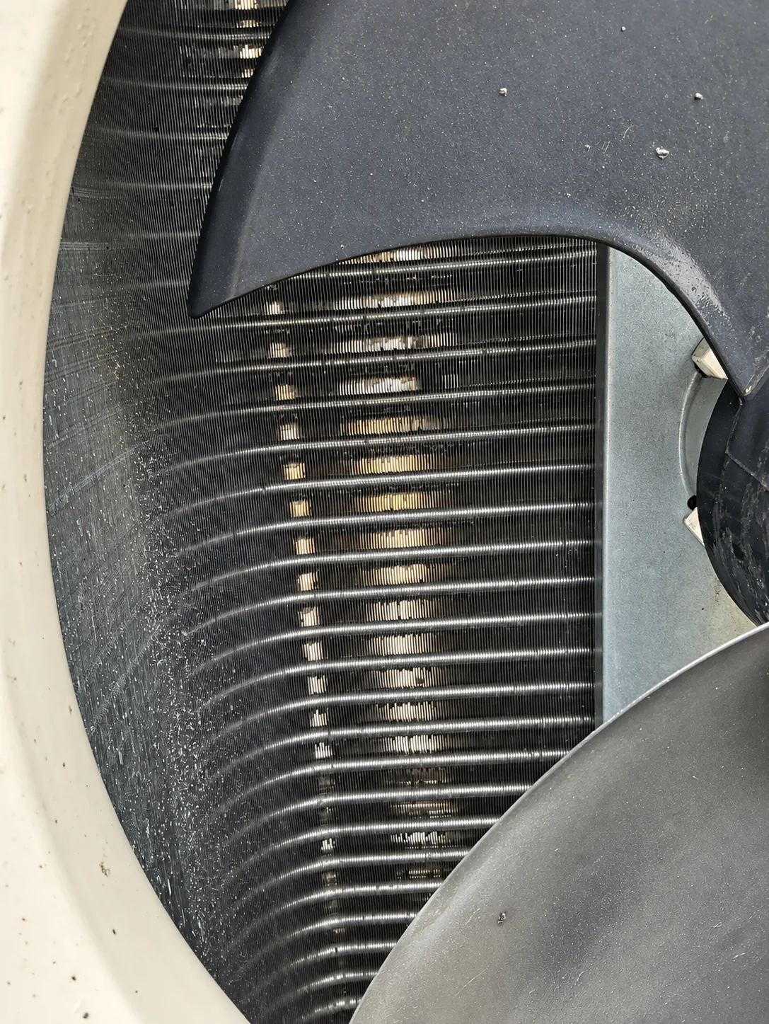 Retouched coil photograph from Kevin's field archive