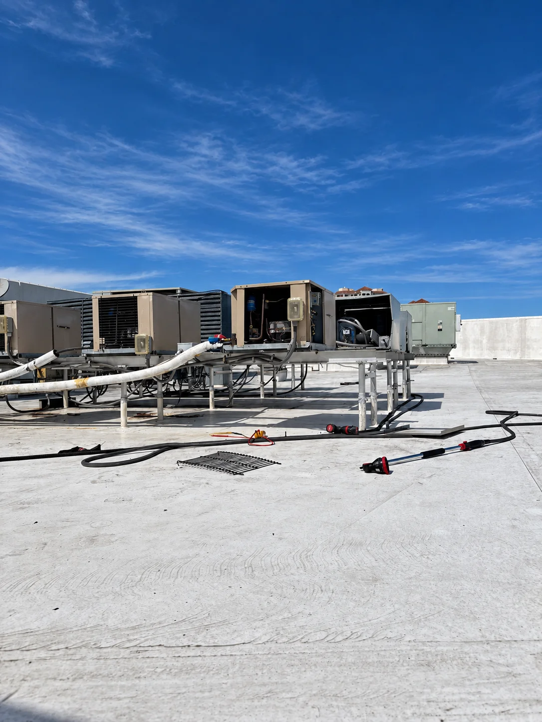 Retouched rooftop photograph from Kevin's field archive